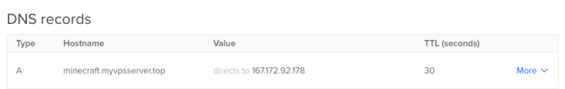 A screenshot showing the DNS record for the Minecraft server.
