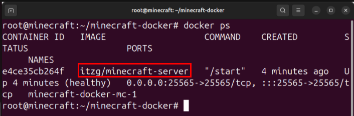 A terminal showing the Minecraft container running properly on the server.