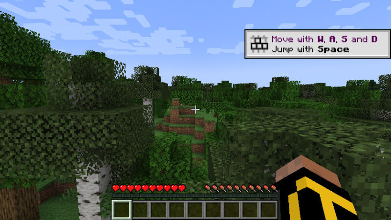 A screenshot showing the Minecraft world running inside the Docker container.