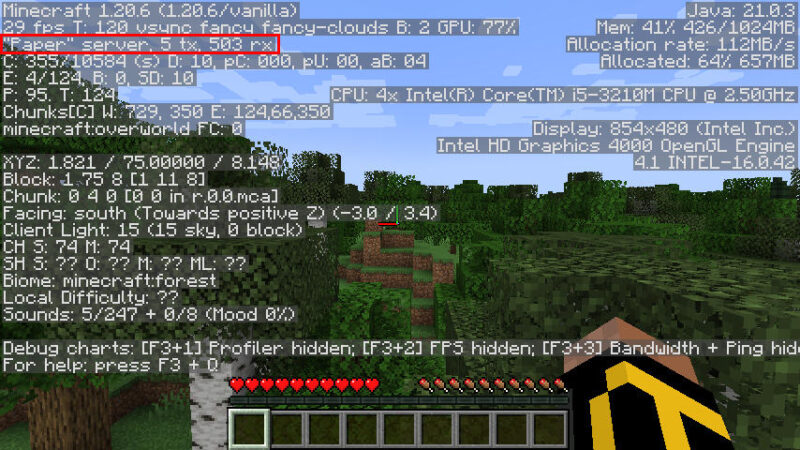 A screenshot showing the "Paper" server running properly inside Docker.