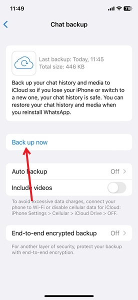Starting backup process in WhatsApp for iPhone.