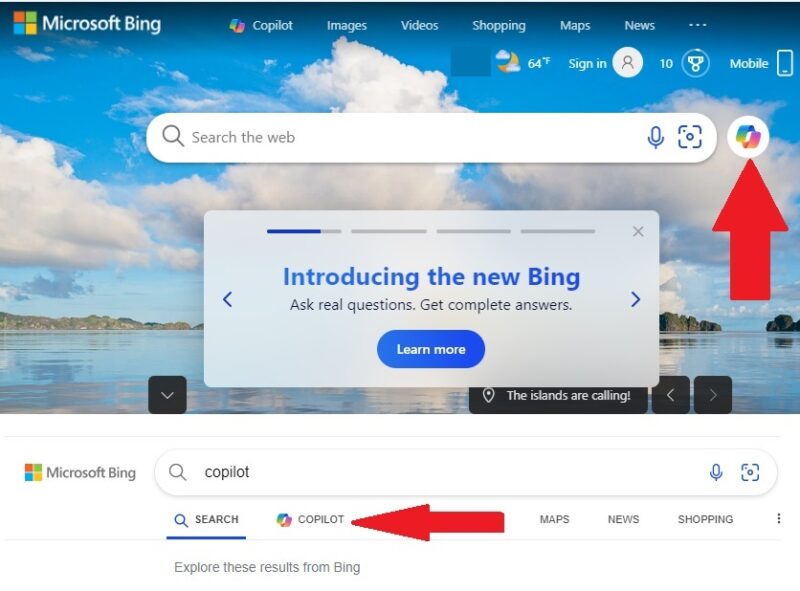 Bing search page with Copilot icon highlighted. Underneath is a Bing search with the Copilot filter highlighted.