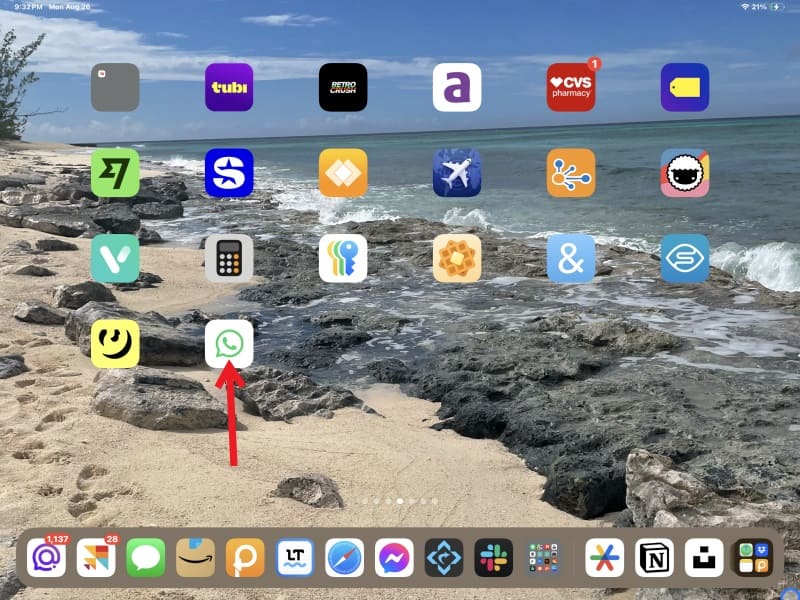 WhatsApp page icon placed on iPad home screen.