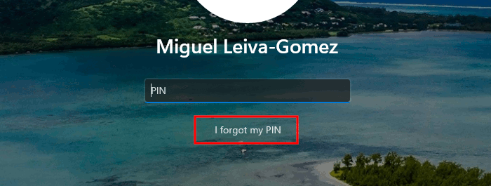 A Windows 11 login screen with the PIN reset option highlighted