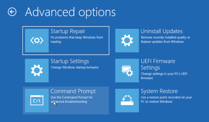 Windows' recovery menu, at the advanced options page of the troubleshooter