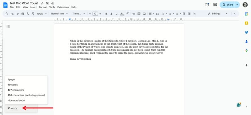 Word count visible while typing in lower left in Google Docs on PC.
