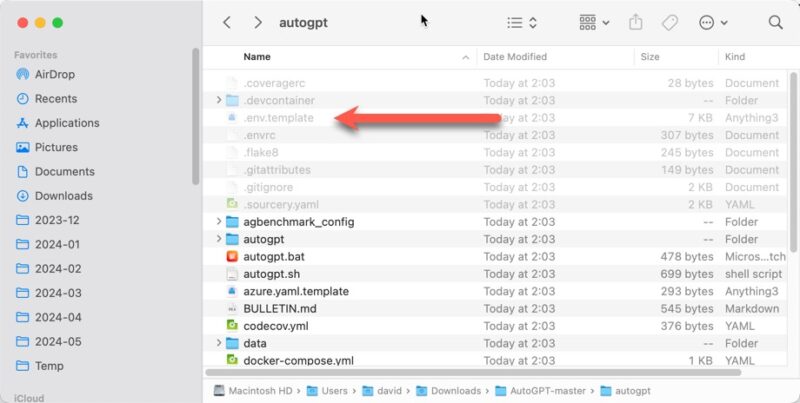 Autogpt Env Template File