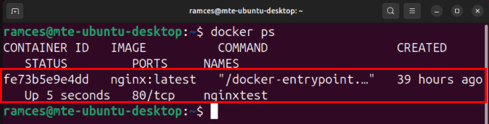A terminal highlighting the available Docker containers for a system.