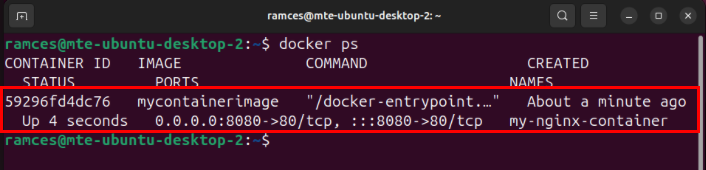 A terminal showing the same Docker container image running on a different system.
