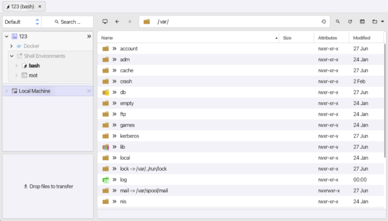 A screenshot showing the files saved on a remote machine viewed through XPipe.