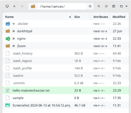 A screenshot showing the copied file straight from the local machine's file manager.
