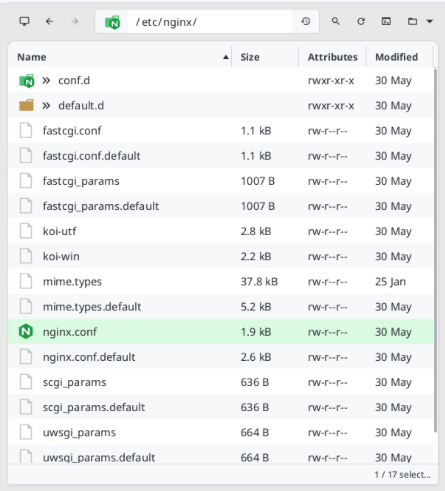 A screenshot showing the "/etc/nginx" directory on the remote server.