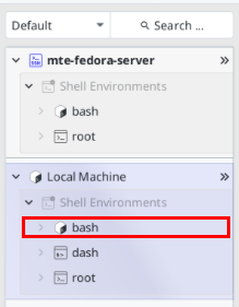 A screenshot highlighting the local machine's Bash shell session.
