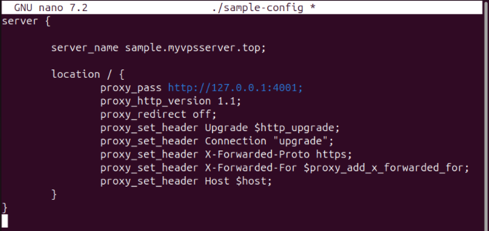 A terminal showing a sample reverse proxy config for Nginx.