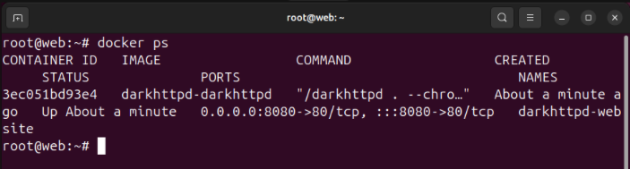 A terminal showing the darkhttpd Docker container running in the system.