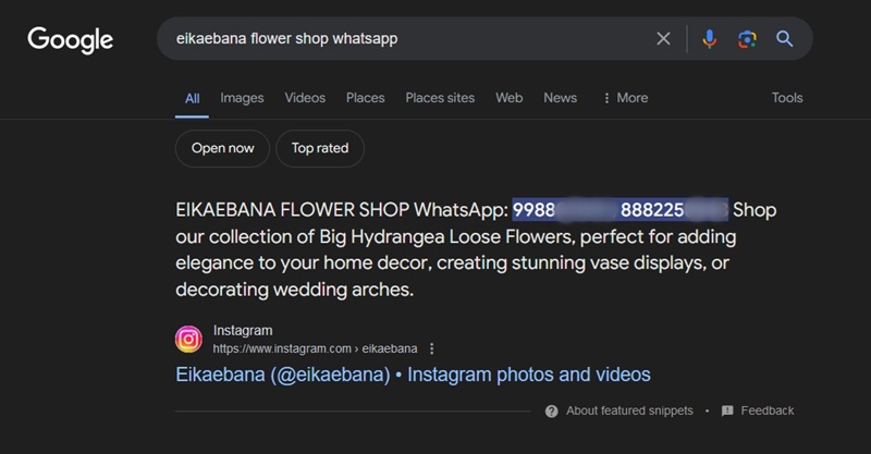 Searching for businesses with a presence on WhatsApp via Google.
