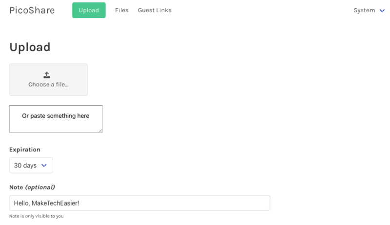 A screenshot of PicoShare working on a server.