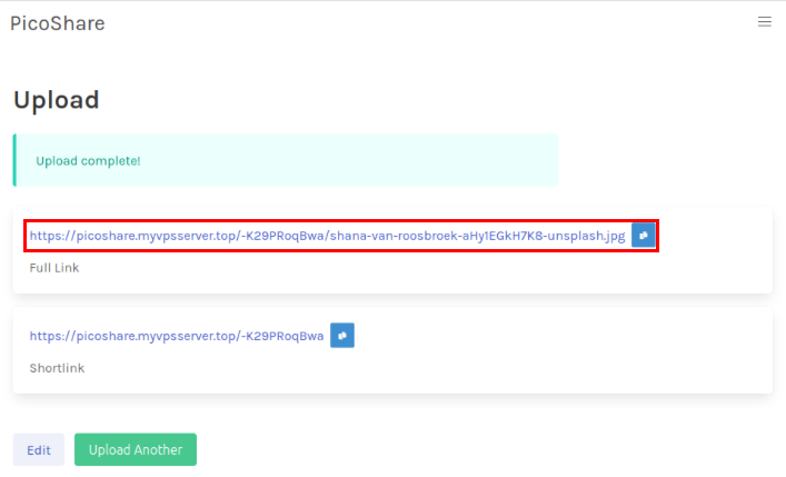 A screenshot highlighting the location of the first shareable link in the PicoShare instance.
