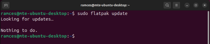 A terminal showing the output of the update subcommand for a fully updated system.