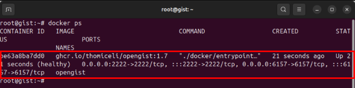 A terminal showing the running Opengist Docker container.