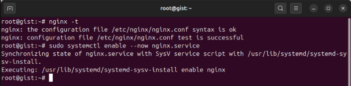 A terminal showing the Nginx reverse proxy running on the server.