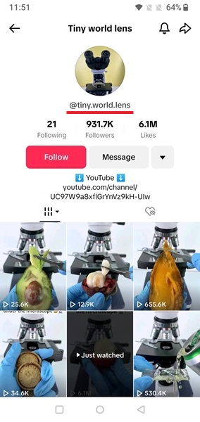 Actual TikTok username view displayed on TikTok profile. 