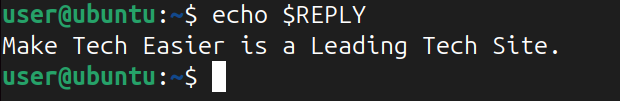 using echo command to display the output of REPLY variable