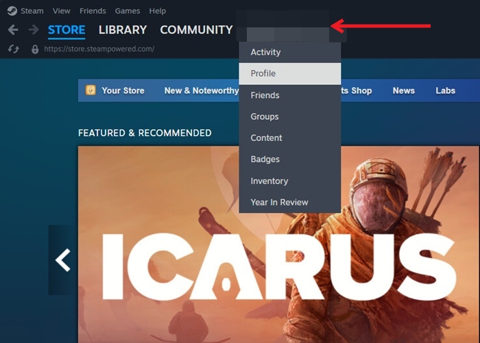 Selecting the Profile option in Steam client for desktop.