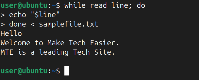 reading from file using read command