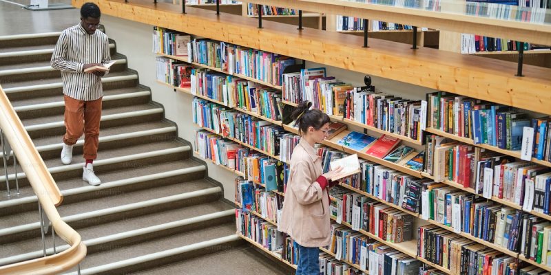 Save Money Streaming Libraries Kanopy Hoopla Libby