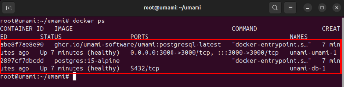 A terminal highlighting the two Umami containers running on the Ubuntu server.