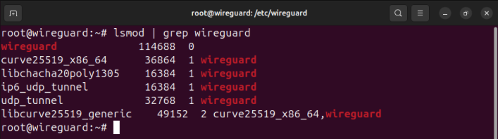 A terminal showing the Wireguard loaded on the Linux kernel.