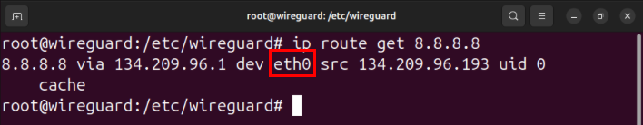 A terminal highlighting the name of the network interface with access to the internet.