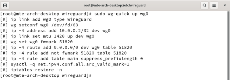 A terminal showing the process of starting the Wireguard client daemon.