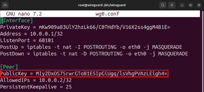 A terminal showing the location of the [Peer] block and highlighting the client's public key.