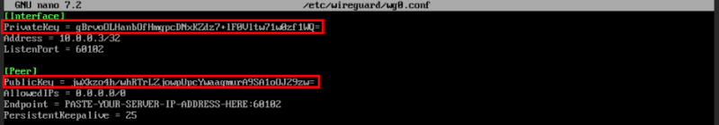A terminal highlighting the second client's private key and the Wireguard server's public key.