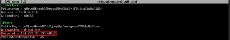 A terminal highlighting the IP address of the Wireguard server in the second client's config.