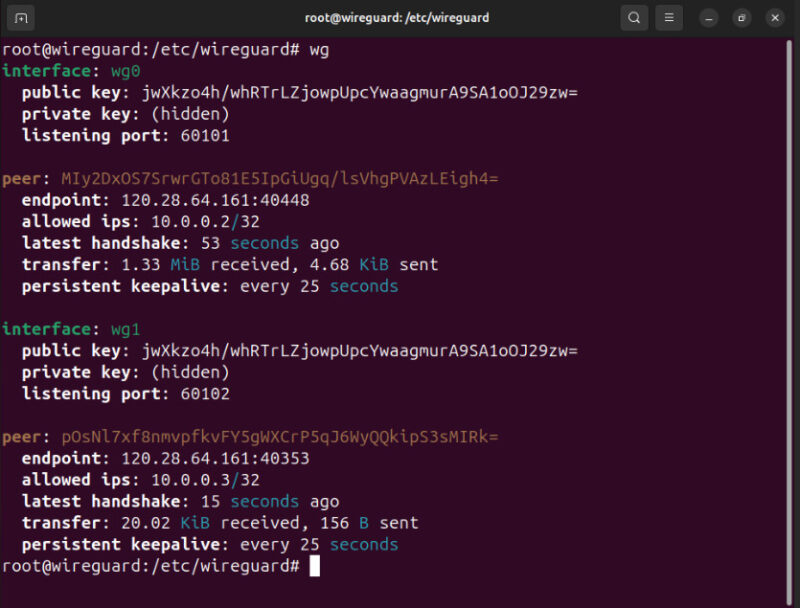 A terminal showing the two client nodes communicating with the Wireguard server.