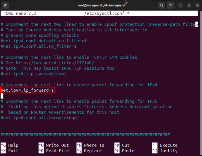 A terminal highlighting the location of the IPv4 forwarding option in sysctl.conf.