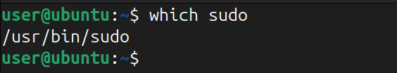 checking path of the sudo using which command.