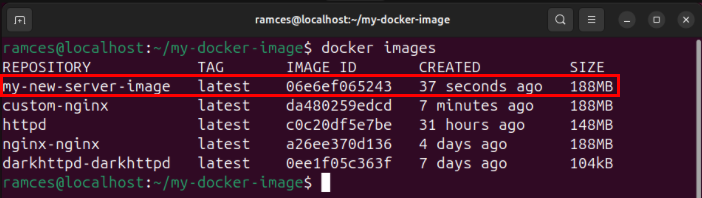 A terminal highlighting the new custom image from a Docker container installed in the system.
