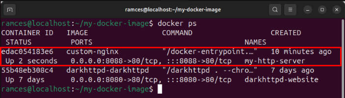 A terminal highlighting the custom Docker container currently running in the system.