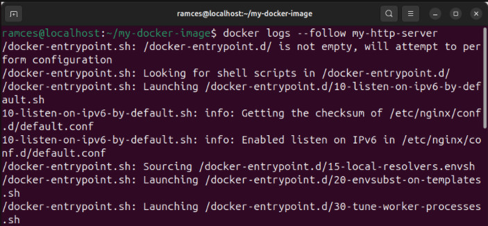 A terminal showing the continuous logs for a Docker container.