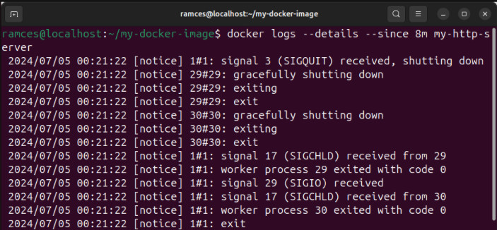 A terminal showing a more detailed log output from a currently running Docker container.