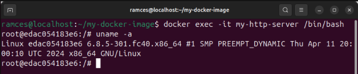 A terminal showing the process of dropping to a container's root shell.