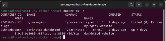 A terminal showing all available Docker containers including currently down ones.