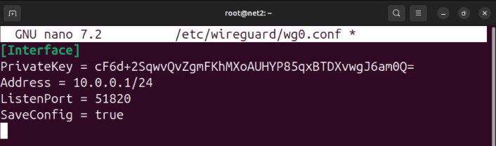 A terminal showing an example WireGuard config with a static address.
