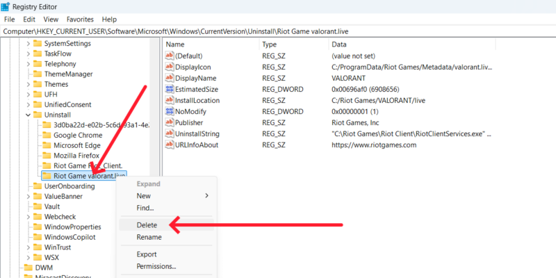 Delete The Valorant Registry Key