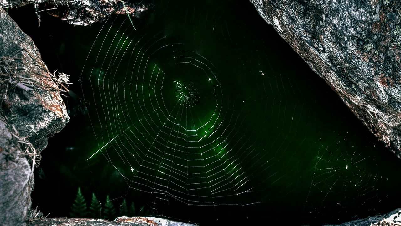 7 Security Threats on the Dark Web  (and How to Avoid Them)