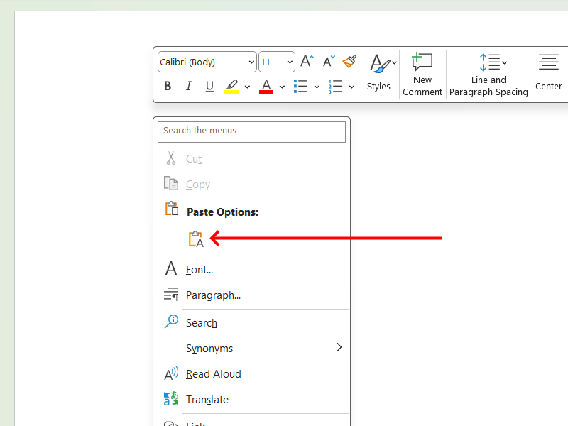Paste Text Without Formatting Word